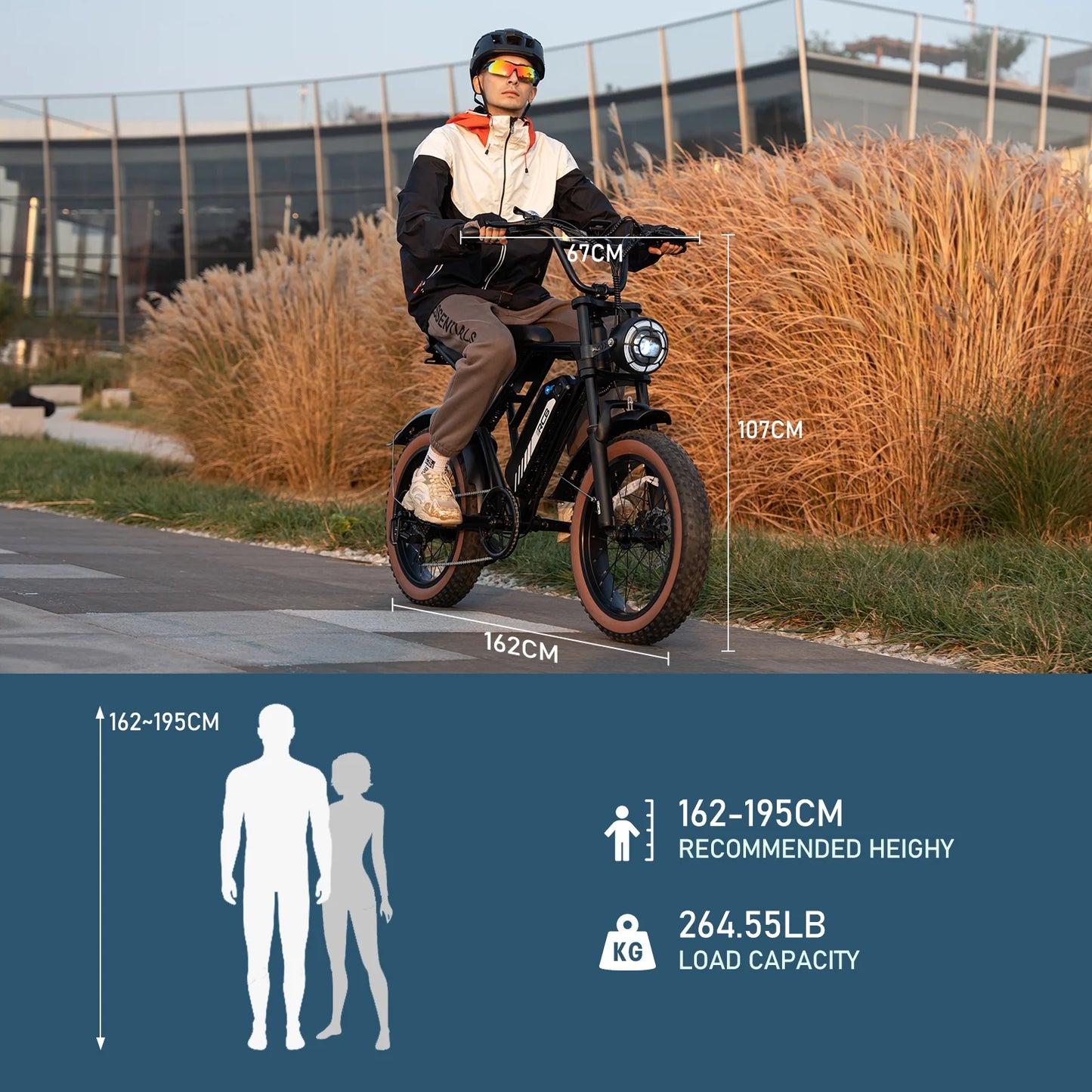 RCB 750W Electric Bike