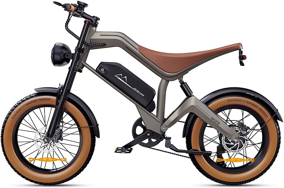DYU M20 All-Terrain Long-Range Electric Bike