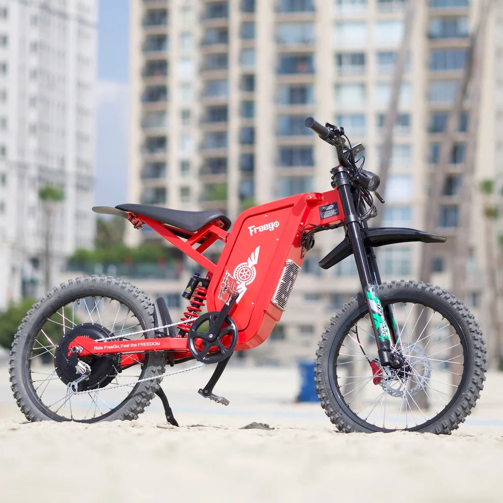 E-Bike FREEGO X2 Pro