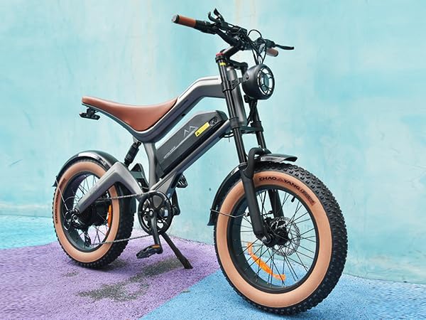 DYU M20 All-Terrain Long-Range Electric Bike