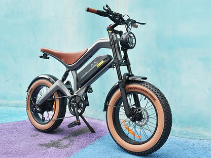 DYU M20 All-Terrain Long-Range Electric Bike