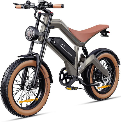 DYU M20 All-Terrain Long-Range Electric Bike