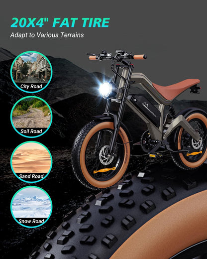 DYU M20 All-Terrain Long-Range Electric Bike