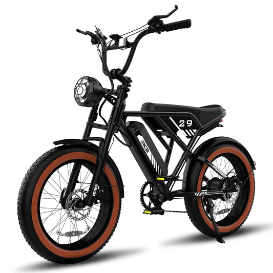 RCB 750W Electric Bike