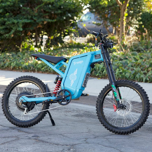 E-Bike FREEGO X2 Pro