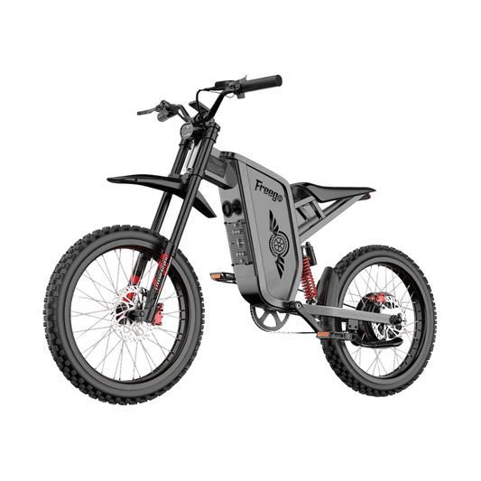E-Bike FREEGO X2 Pro